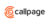 Boost Your Customer Service with CallPage.io Widget – Review
